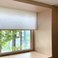 Cortinas Celulares Opacas Personalizadas de Panal de Abeja 16mm-26mm, Tejidos No Tejidos, Materia Prima para Persianas Opacas de Panal de Abeja Horizontales