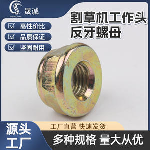 Venta al por mayor de fábrica: Cabezales de corte para cortacésped y tuercas de rosca inversa, piezas y accesorios especiales para el cuidado del césped. - Product Image 5