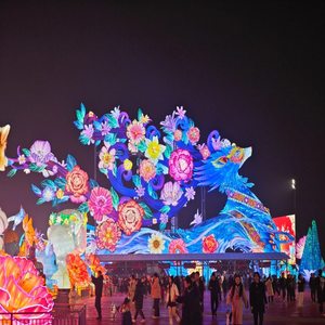 2025 đèn lồng triển lãm ngoài trời không thấm nước lễ hội lanternshow cho công viên chủ đề trang trí đèn lồng lụa hiển thị với đèn LED - Product Image 4