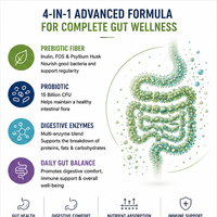 Poudre Synbiotique OEM en Gros pour la Santé Intestinale : Fibres Prébiotiques, Probiotiques, Enzymes, Nettoyage Quotidien du Côlon, Saveur Personnalisée, Marque Privée