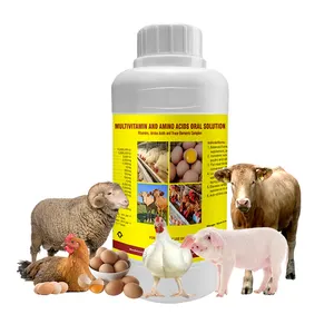 Alimentation OEM pour poulets Vitamines et acides aminés liquides pour porc Solution orale multivitamine pour pondeuse de poulets de chair