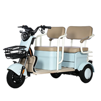 AFTFA Era Modern OEM ODM Pabrik Lintas Negara Menyediakan Kendaraan Roda Tiga Penumpang Listrik 3 Motor Brushless Baja Baterai Asam Timbal