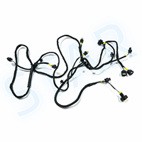 Connecteur automobile personnalisé 24 voies s/Aptive 211PC249S0033, faisceau de câbles électriques, assemblage de câbles pour boîte de chargement
