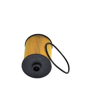 Nuovo Filtro Olio di Alta Qualità TS HU8009z per Cayenne II (92A), Skoda <span class=keywords><strong>Superb</strong></span> II (3T), VW CC (358), Audi/Seat/Skoda/VW 2000-2004, Garanzia 1 Anno - Product Image 1