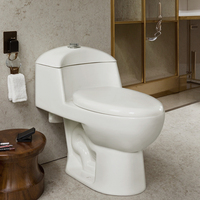 Ensemble WC en céramique monobloc à poser au sol, avec siphon S-trap intégré, pour salle de bain, personnalisé en usine