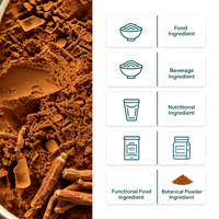Extrait de Ginseng Rouge en Poudre Ginsénosides 5%-80% Extrait Végétal en Vrac Matière Première Botanique Naturelle Fournisseur