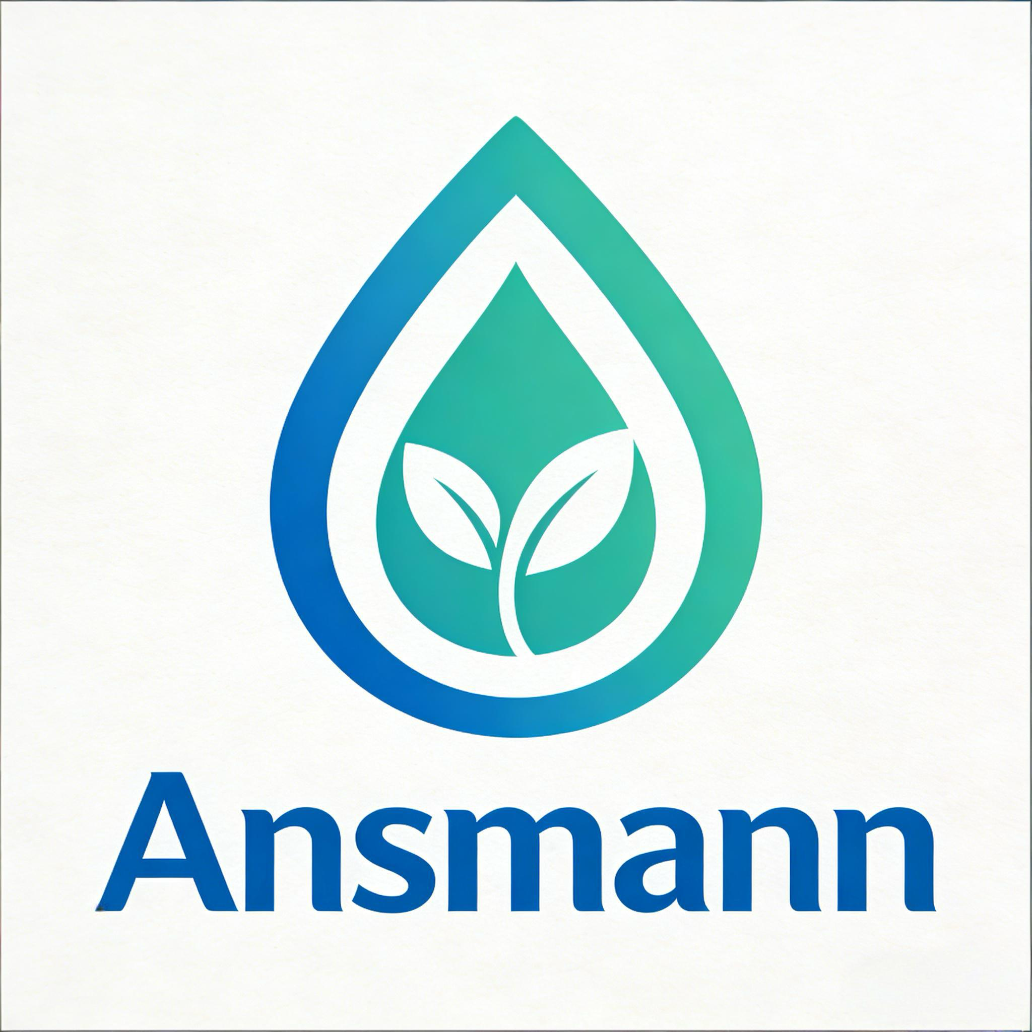 Hebei Ansmann Laundry & Home Care Solutions Ltd. logo