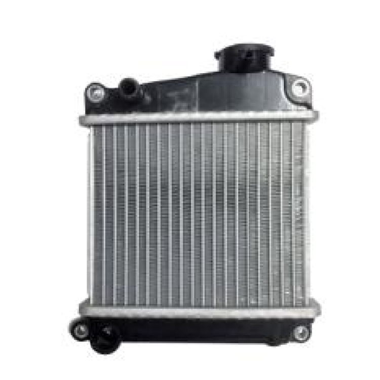 Радиатор мотоцикла в сборе LEAD110