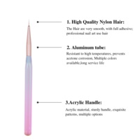 Pinceau professionnel pour nail art, manche acrylique dégradé, pinceau liner pour polygel, pinceau liner pour ongles, pour la peinture florale et le dessin sur ongles