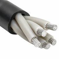AL/XLPE/PVC 5-adriges Aluminium-Leistungskabel XLPE-Isolierung PVC-Mantel 4x50mm2 0,6 1kV Energieübertragung