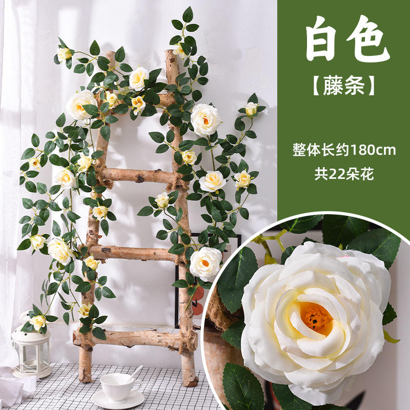 Fleur de vigne blanche 1 bande