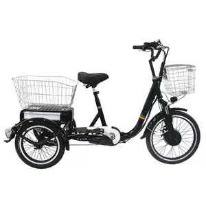 /Обратный трехколесного велосипеда электрического мотоцикла 3 колеса в положении лежа электрического трехколесного велосипеда/взрослых электрических трехколесных велосипедов в Израиле