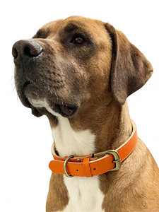 Elegante <span class=keywords><strong>Collar</strong></span> de Perro de Cuero <span class=keywords><strong>PU</strong></span> Impermeable de Lujo, Patrón Sólido, Cintas, Hebilla Ajustable, Porta Placa de Identificación para Perros Medianos/Grandes - Product Image 5