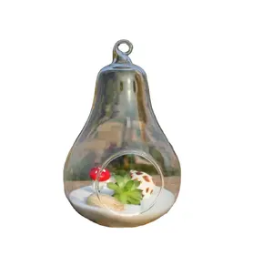 Vaso di fiori appeso in vetro a forma di mela a forma di pera trasparente soffiato a mano su misura artigianato vaso di vetro decorazione del Desktop