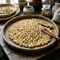 Bulbes de Fritillaria Cirrhosa Séchés de Haute Qualité (Chuan Bei Mu) pour l'Humidification Pulmonaire et le Soulagement de la Toux – Complément Herbal Sain