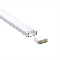 Profilé en aluminium extrudé LED LS-048, dissipateur de chaleur, éclairage linéaire pour projet, personnalisable, argent, blanc, noir, lampe, lumière