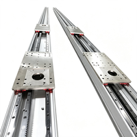 Module linéaire à crémaillère 178, course de 5000 mm, double chariot, mouvement indépendant, actionneur linéaire pour robot portique CNC