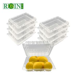 Tek kullanımlık kapaklı şeffaf şeffaf plastik meyve kutusu salata paketleme tepsisi konteyner - Product Image 5