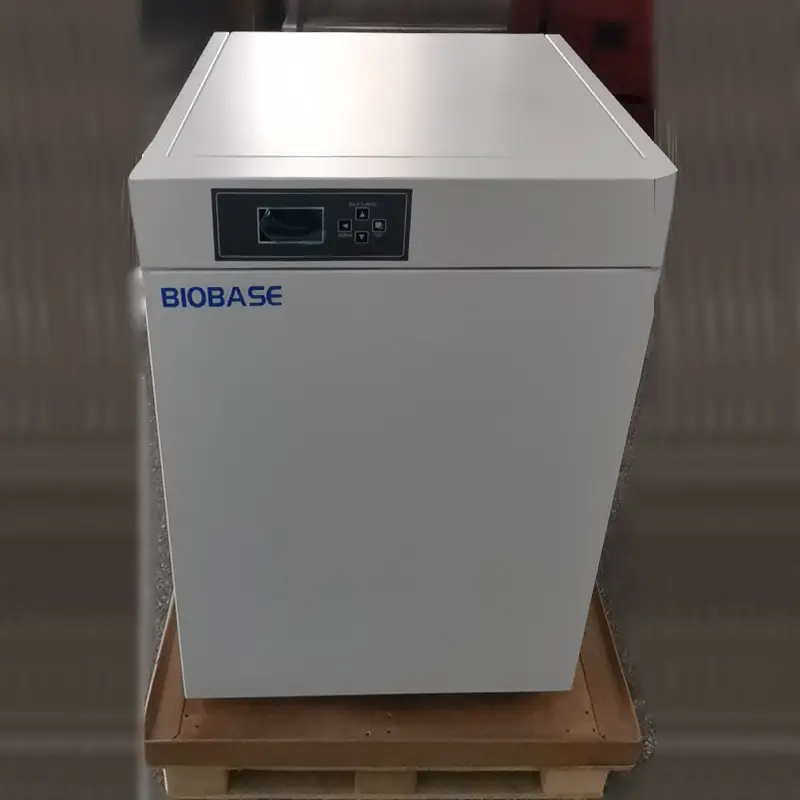 Incubadora de temperatura constante BIOBASE 160L RT + 5 ~ 60 grados con 2 estantes ajustables pequeña incubadora para laboratorio