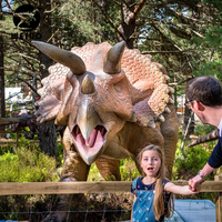 Statue de dinosaure grandeur nature, simulation réaliste, décoration de parc à thème extérieur, modèle de dinosaure