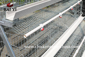 Jaula de granja avícola de <span class=keywords><strong>pollo</strong></span> de varios niveles con capacidad de 20000 capas de alta calidad nueva - Product Image 6