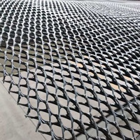 Filet de drainage géocomposite et géotissu composite pour la construction de routes et le contrôle de l'érosion