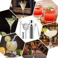 Ensemble de 5 pièces pour cocktails, shaker à martini, avec passoire, kit de barman en acier inoxydable, mélangeur de boissons avec doseur