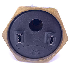 Vendita Diretta dalla Fabbrica Elementi Riscaldanti a Immersione in Rame di Qualità Europea Tubi Riscaldanti Parti per Scaldabagni - Product Image 5