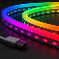 Bande LED néon RVB adressable haute luminosité 5V avec connecteur USB, silicone, indice de protection IP67 pour la décoration intérieure