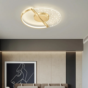 Thiết Kế Sáng Tạo Acrylic Trong Suốt Hình Dạng Hoa Phòng Khách Phòng Ăn Sao Ánh Sáng Trần Ấm Cúng LED Trần Phòng Ngủ Đèn - Product Image 3