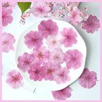 Fleurs de cerisier japonaises séchées de qualité supérieure, qualité alimentaire, pour la décoration de pâtisserie et les confettis de mariage, stock en vrac