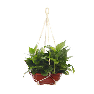 <span class=keywords><strong>Pot</strong></span> <span class=keywords><strong>de</strong></span> <span class=keywords><strong>fleur</strong></span> mural en <span class=keywords><strong>corde</strong></span> tissée pour jardin intérieur, cintre suspendu pour plantes, panier suspendu en coton - Product Image 6