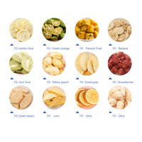 Gedroogde Aardbeien Vriesgedroogd Veganistisch Snack Fruit Groente Snacks 70g Gedroogd Fruit Vriesgedroogde Aardbeien