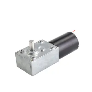 90 Degree Right Angle 12V/24V/36V Double Shaft Worm Gear BLDC Motor with 200Rpm 58-3650 Gearbox ODM Customizable