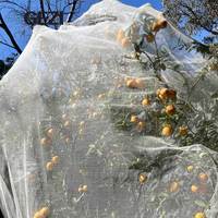 UV-bestendig landbouwnet 40 mesh kas insectennet beschermingsnet tegen ongedierte voor gewassen en fruitbomen
