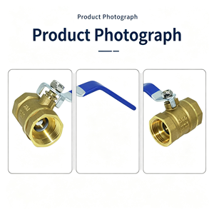 Robinet à boisseau sphérique en acier inoxydable 1 pièce, filetage NPT BSP femelle, passage complet, pour conduite d'eau, avec levier marche/arrêt, résistant à la corrosion, ensemble de fixation - Product Image 5