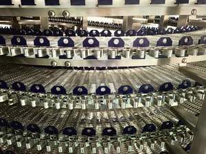 Energiesparende Industrielle IQF-Spiralfroster Schnellgefriermaschine mit Spiralförmigem Bandantrieb - Product Image 3