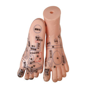 El Ayak Kulak Modeli Meridyen Akupunktur Noktası Refleks Bölgesi 17cm Yüksek Çözünürlüklü Çin Tıbbı Öğretimi - Product Image 2