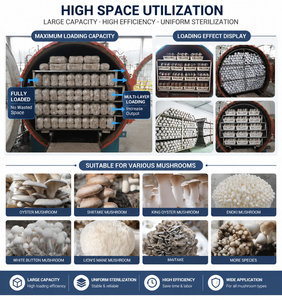 Stérilisateur automatique de substrat pour champignons, autoclave pour la culture de champignons - Product Image 5