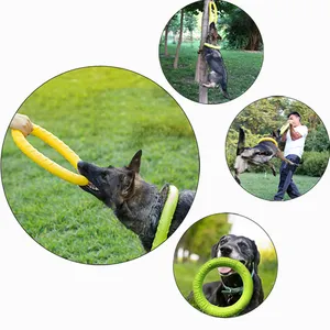 Giocattolo per cani dischi volanti EVA Dog Training Ring Puller resistente morso giocattolo galleggiante cucciolo anello interattivo all'aperto giocattolo accessori per animali domestici