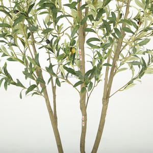 Albero di <span class=keywords><strong>Ulivo</strong></span> Artificiale in Plastica da 2,1 m con Frutti Realistici, Tronco Naturale, Vaso <span class=keywords><strong>Bianco</strong></span> Resistente per Decorazione Interna Casa/Ufficio - Product Image 4