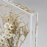 Cadre de présentation en acrylique transparent pour fleurs séchées - Boîte d'art botanique pressée pour la décoration de maisons de luxe et de boutiques