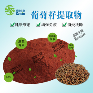 Chất Chống Oxy Hóa Mạnh Procyanidin 95% Chiết Xuất Hạt Nho - Product Image 2