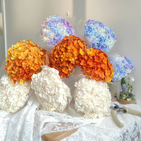 Hydrangea séchée naturelle grande taille, fleur d'hortensia Annabelle préservée, best-seller du site web