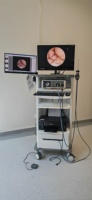 Système de caméra endoscopique électrique IKEDA YKD-9006 Full HD 1080P avec LED 80W et fréquence d'images 60p pour la laparoscopie, l'urologie et les spécialités multiples