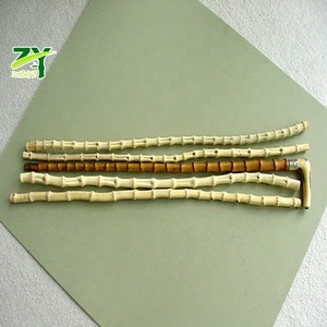 Bastones <span class=keywords><strong>de</strong></span> raíz <span class=keywords><strong>de</strong></span> <span class=keywords><strong>bambú</strong></span> rectos Whangee para bastón y asas <span class=keywords><strong>de</strong></span> bolsa Materias primas naturales - Product Image 1