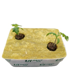 Fabricants <span class=keywords><strong>de</strong></span> culture hydroponique UPuper <span class=keywords><strong>150</strong></span>*100*75mm Cubes <span class=keywords><strong>de</strong></span> <span class=keywords><strong>laine</strong></span> <span class=keywords><strong>de</strong></span> <span class=keywords><strong>roche</strong></span> <span class=keywords><strong>laine</strong></span> <span class=keywords><strong>de</strong></span> <span class=keywords><strong>roche</strong></span> hydroponique - Product Image 4