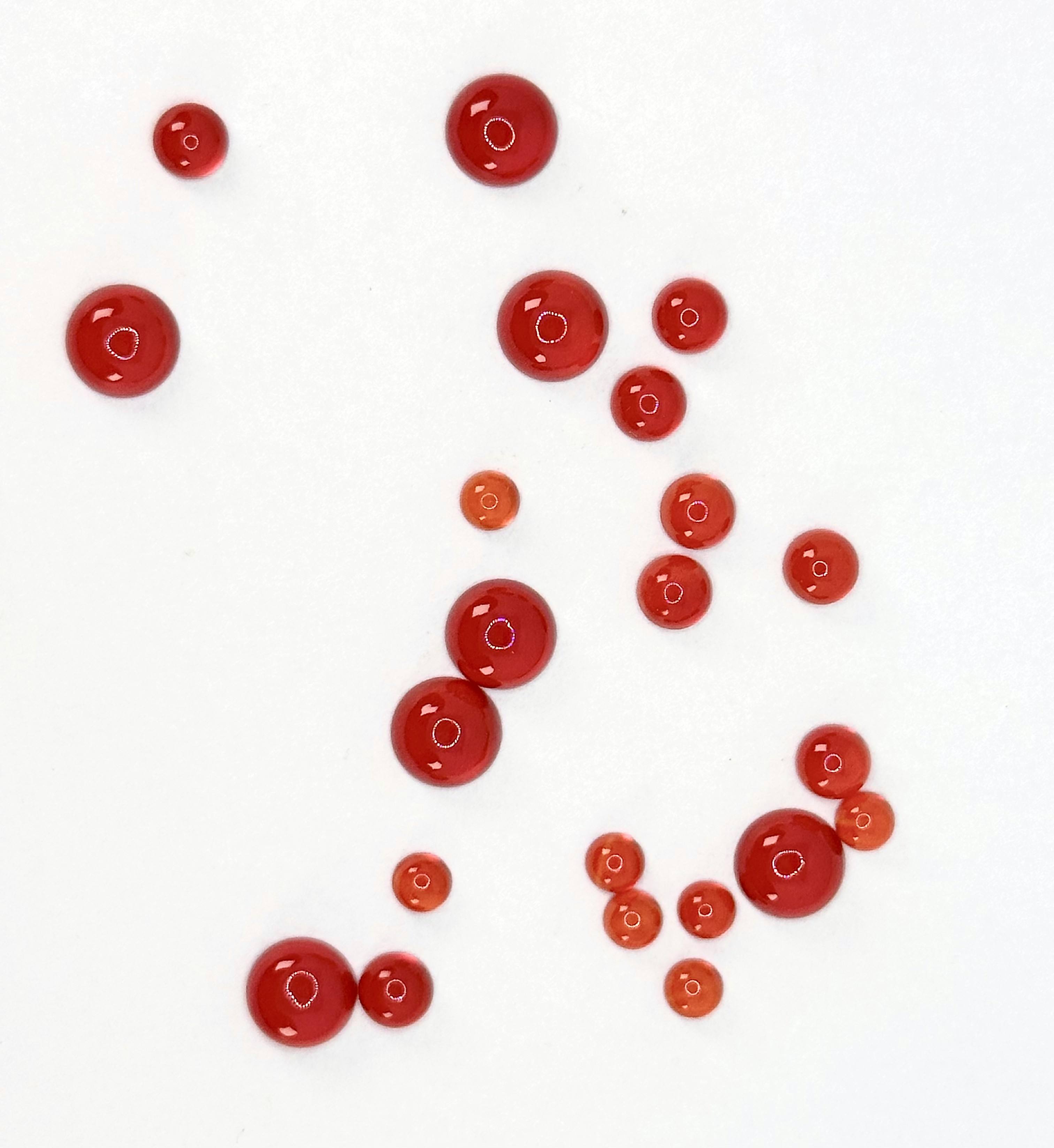 เช่นเดียวกับในภาพ