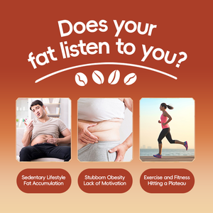 Kopi Instan L-Carnitine Multi-Compound Slimming Beauty untuk Pengendalian Berat Badan 10g/bungkus 7 Bungkus dalam Kemasan Kantong & Kotak - Product Image 2