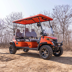 Voitures de golf électriques de haute qualité <span class=keywords><strong>2</strong></span>+<span class=keywords><strong>2</strong></span> 4 places, best-sellers, en vente - Product Image 1